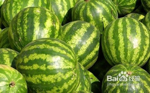 瘦腿食谱 日常瘦腿7部曲 轻松吃出美腿