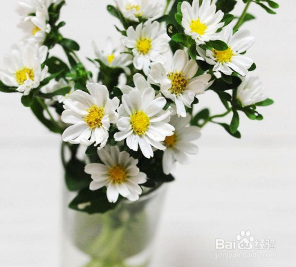 花店买回的一扎鲜花怎样保鲜