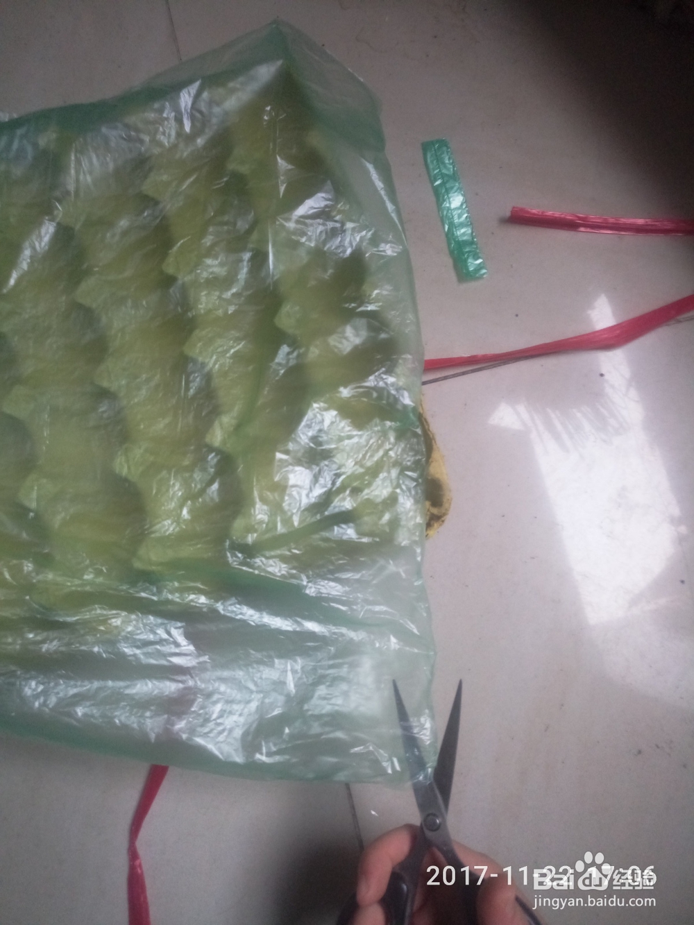 如何用鸡蛋托种多肉植物(多肉叶插)