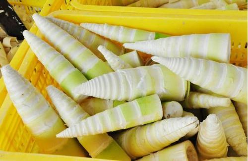 端午节给员工发什么礼品比较好