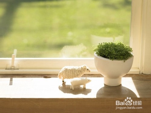 心肝脾肺肾怕什么你知道吗