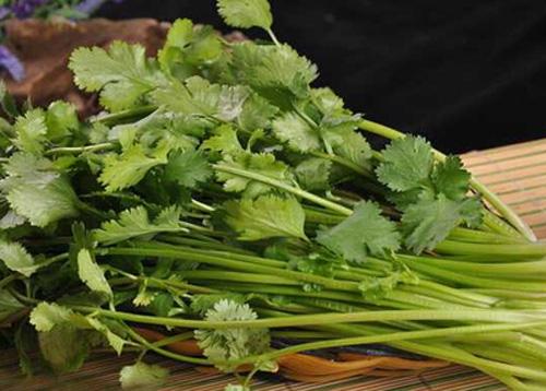 香菜煮水喝,有什么用啊