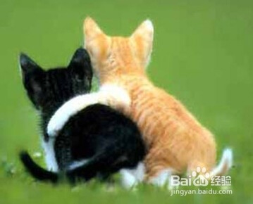 和朋友之间的那点小经验