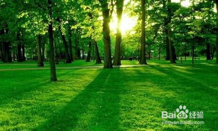 低碳环保的方法