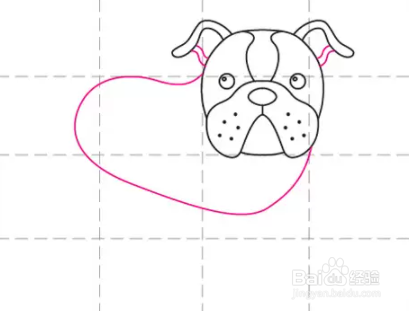 如何画斗牛犬