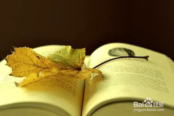 冰箱有哪些鲜为人知的作用？