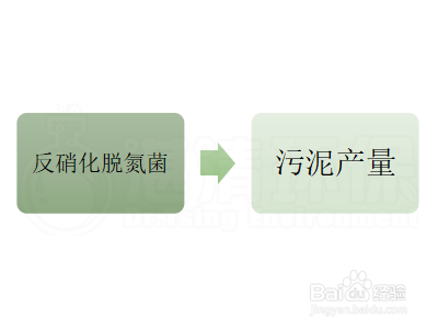 反硝化高效脱氮菌怎么辨别其性能的优良