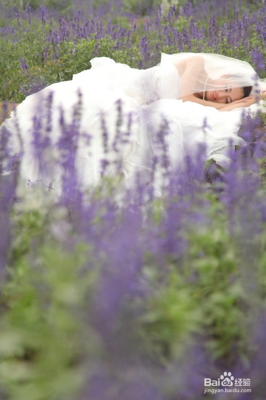 秋冬拍花海婚纱照攻略 百度经验