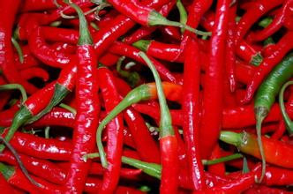 蚜虫的防治方法