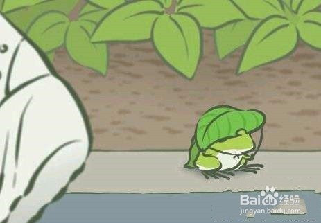 青蛙旅行四叶草怎么得