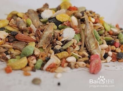 仓鼠粮食怎么保存