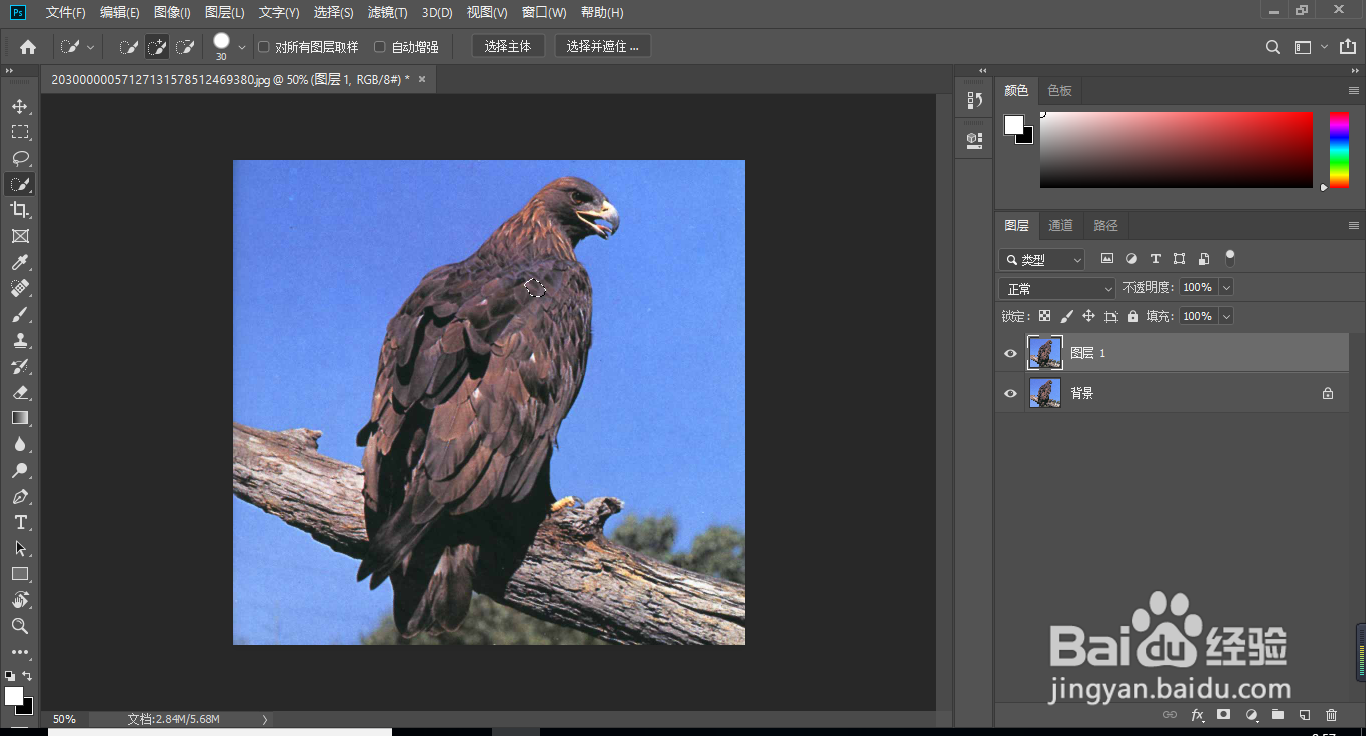 ps抠图，最新最快速的抠图技巧