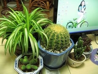 准妈妈必看的防辐射技巧（最全）