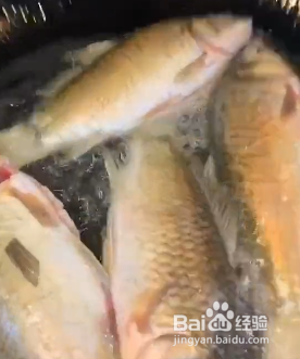 怎样炖鲫鱼汤鲫鱼不粘锅呢