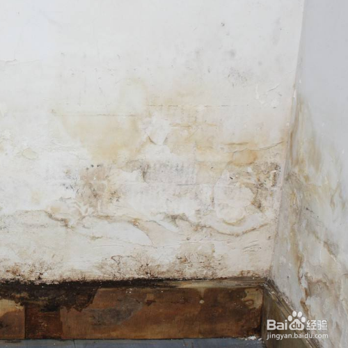 墙面发霉的原因和处理方法