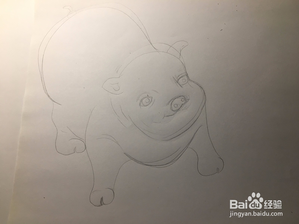 教你画一只萌萌的肥猪 猪年简笔画猪