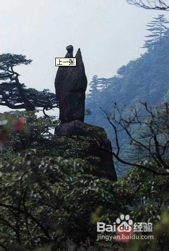 杭州到黄山著名山水之旅(可观日出)