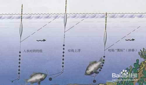 钓鱼怎么样调漂找底