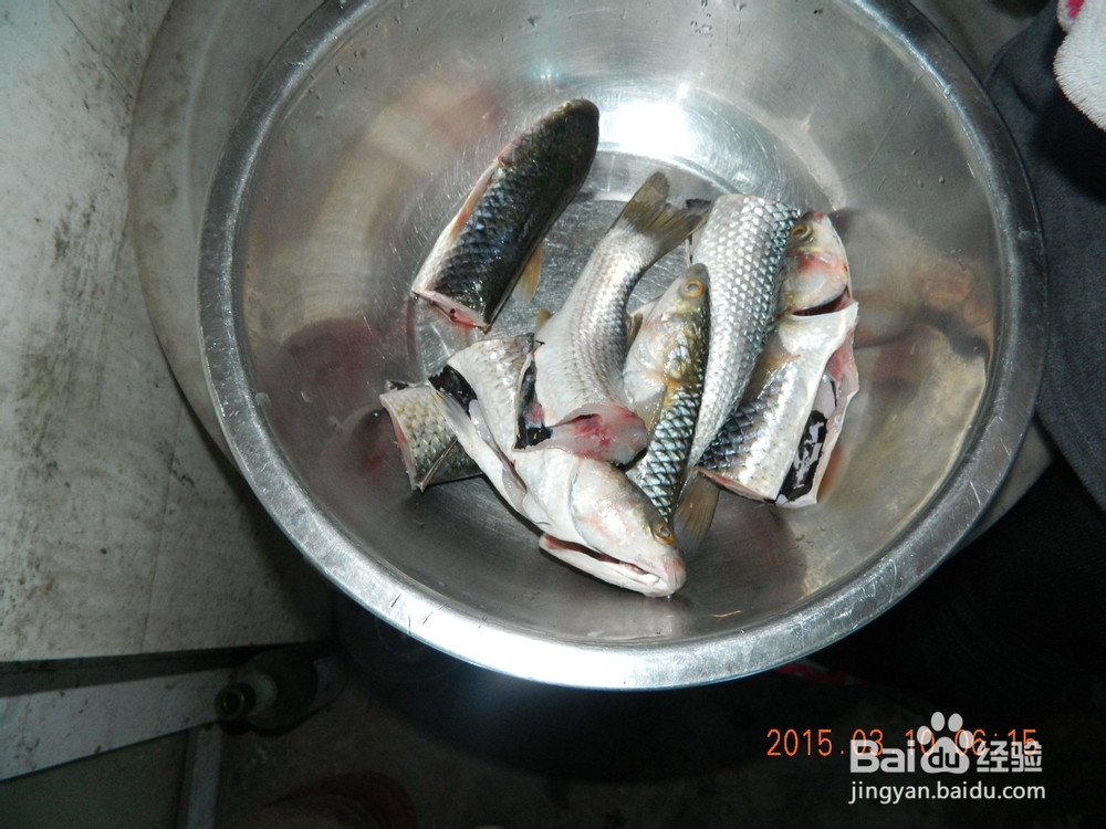 家常烹饪梭子鱼