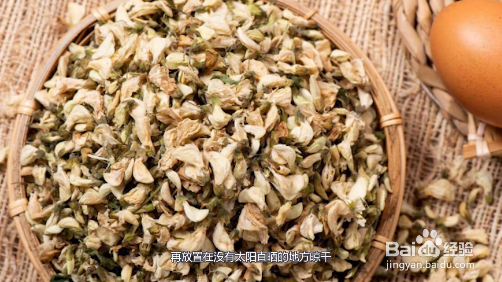 槐花怎么保存最好