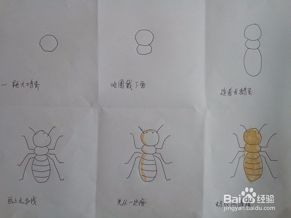 一步一步学简笔画116