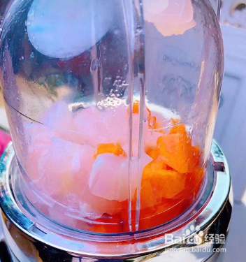 龙利鱼宝宝肠