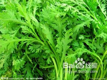 健康减肥方法之时令蔬菜减肥,秋季营养享瘦