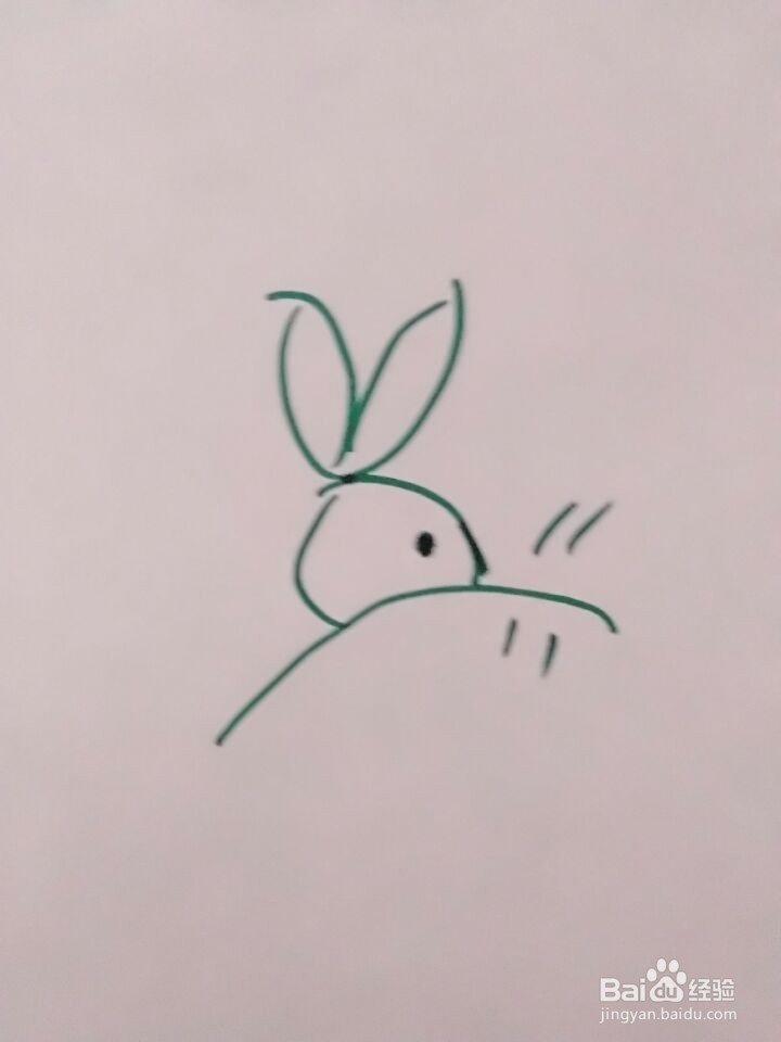 简笔画可爱的老鼠