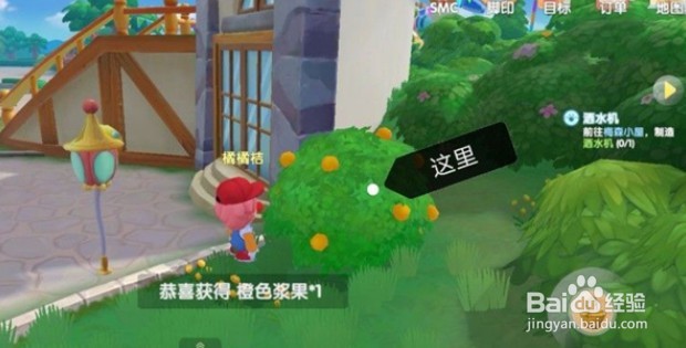 摩尔庄园手游浆果带鱼如何制作