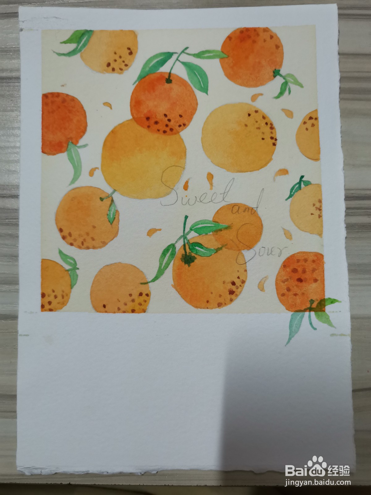 橘子水彩插画上色教程