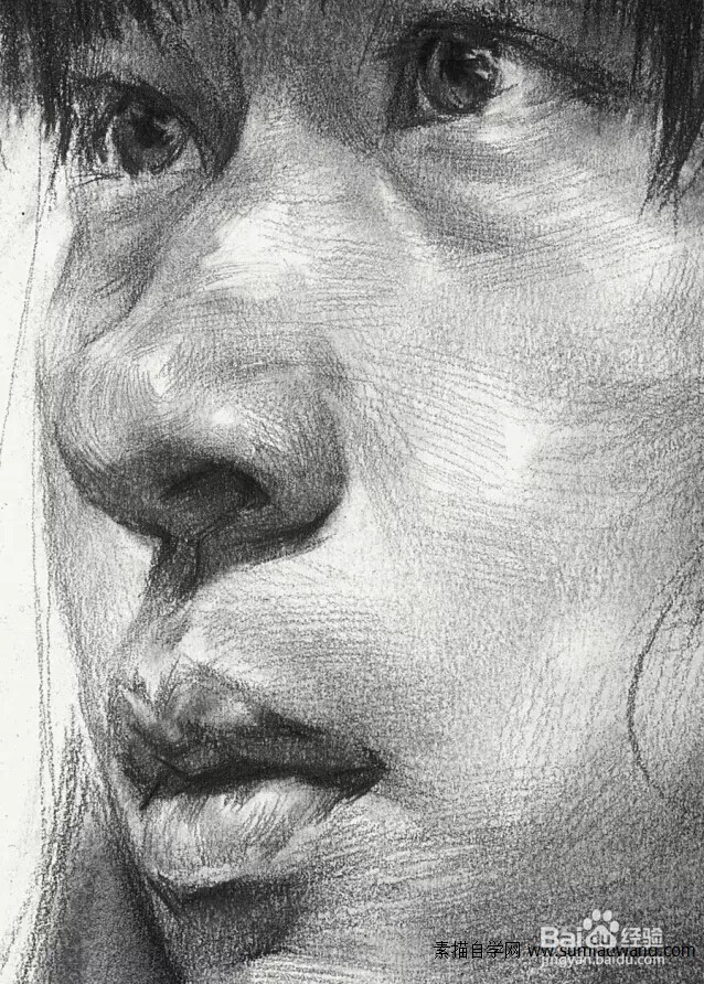 素描头像基础教程