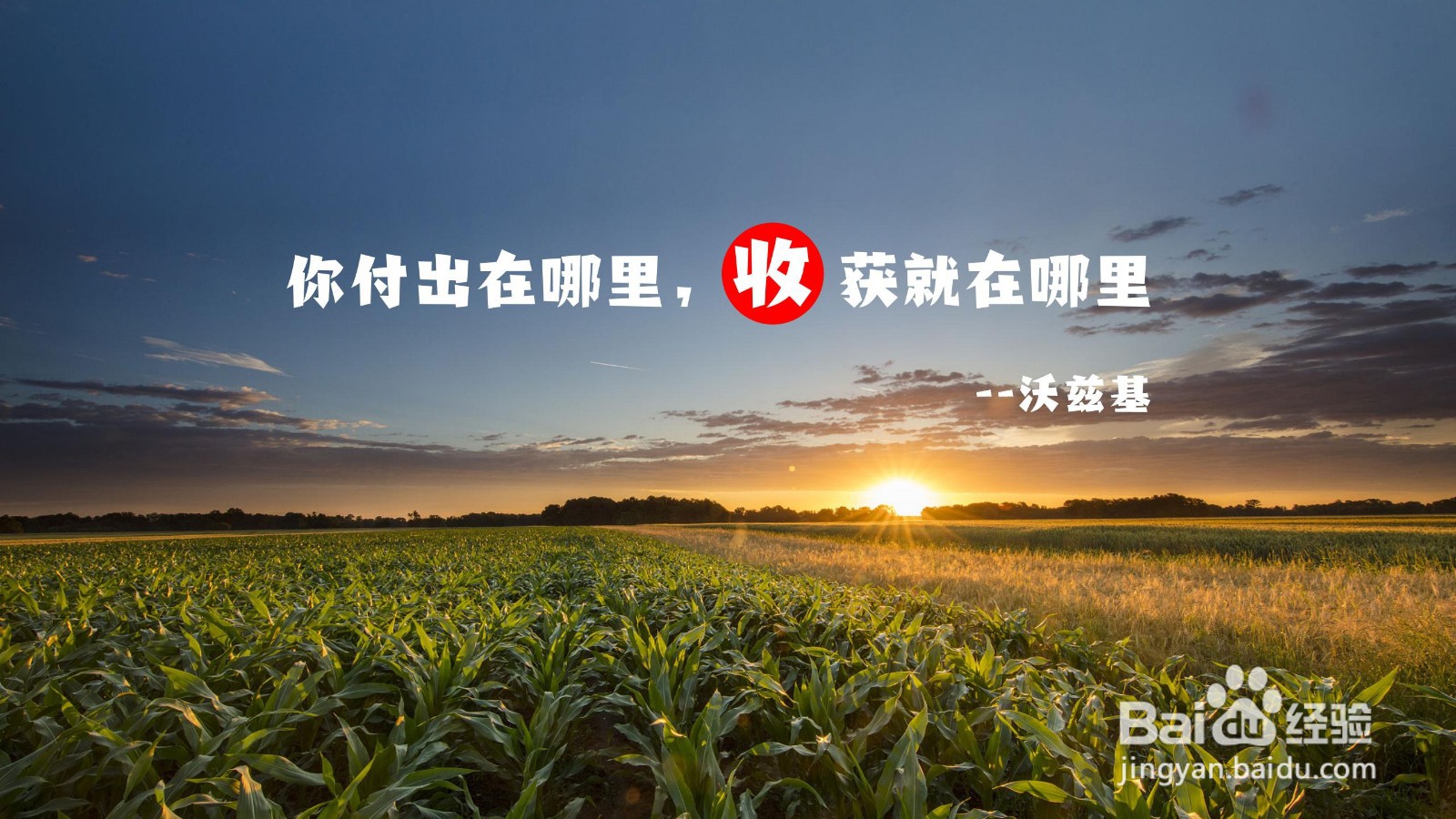 如何通过调整文字让PPT封面更美观？