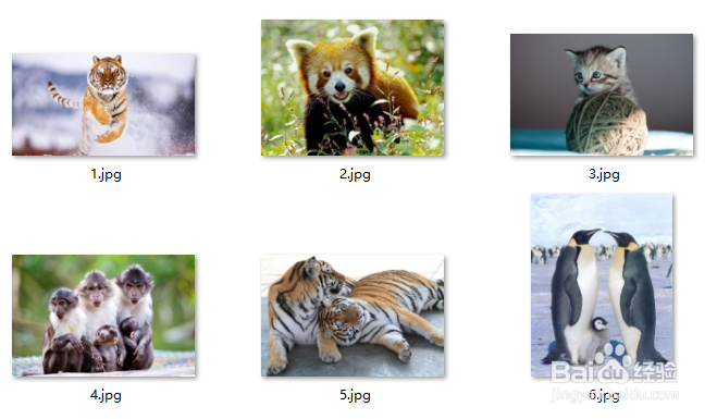怎么快速的制作朋友圈分享图片
