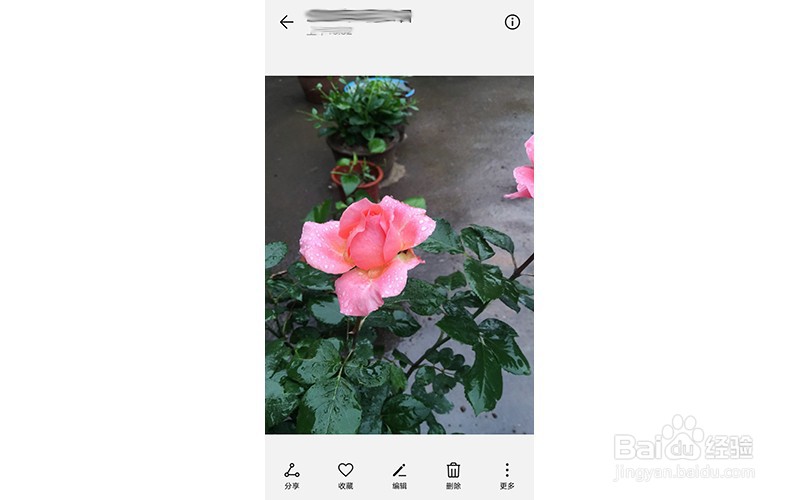 怎么用手机编辑照片