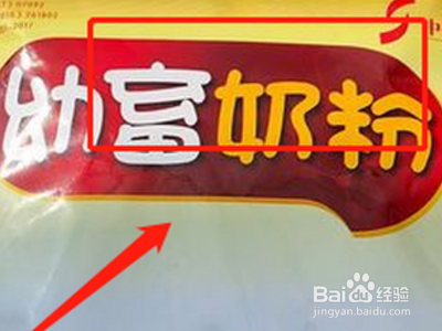 小猪人工喂奶怎么喂