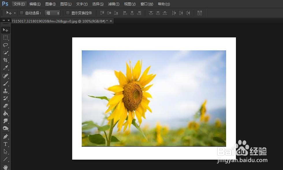 PS如何调整画布大小