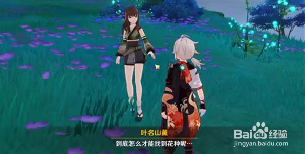 原神阿敬的宝箱奖励有哪些