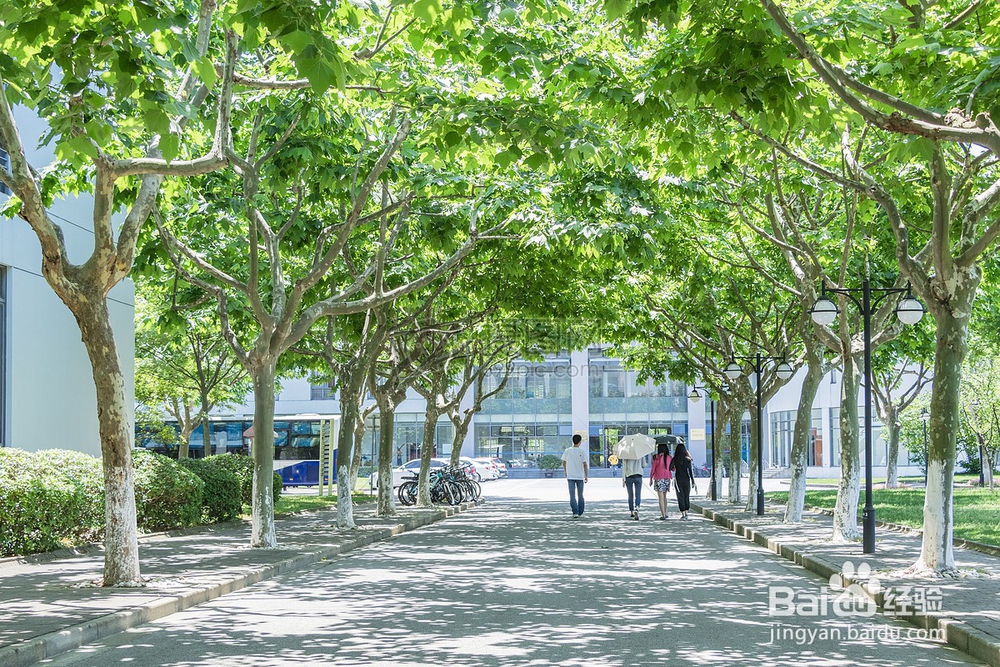 大学自愿退学流程