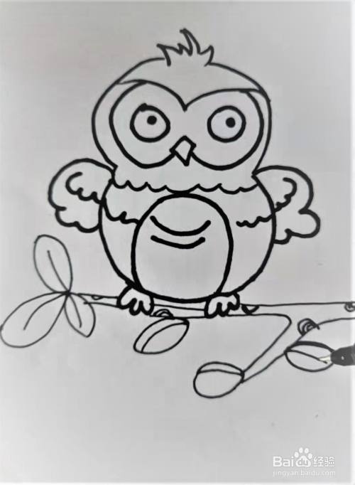 小猫头鹰怎么画