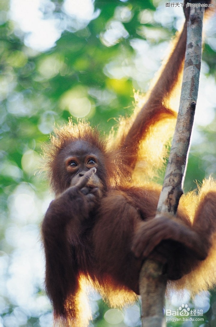 发生踩踏事如何避免受伤呢？