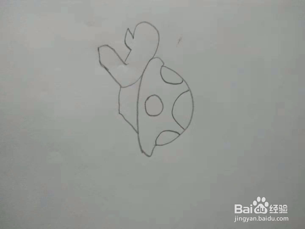 小乌龟简笔画画法