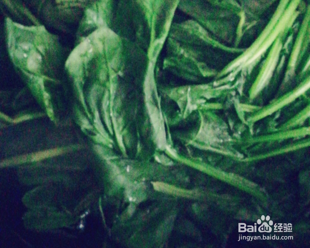 心心念念的凉拌菠菜