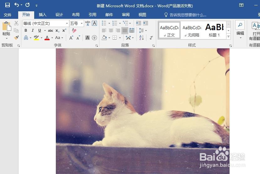 如何快速将jpg图片转换成PDF文件？