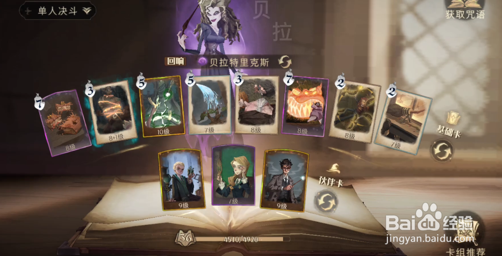 哈利波特魔法觉醒咒术流贝拉怎么配