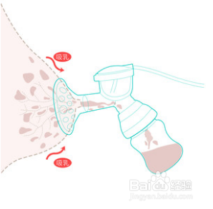 母婴/教育 育儿 > 婴儿期 |浏览: 0 |更新: 2020-08-23 13:25 吸奶器
