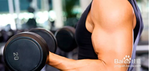 健身初学者必看：练爆你的二头肌