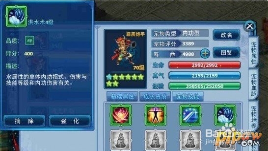 神雕侠侣手游丐帮如何选择宠物