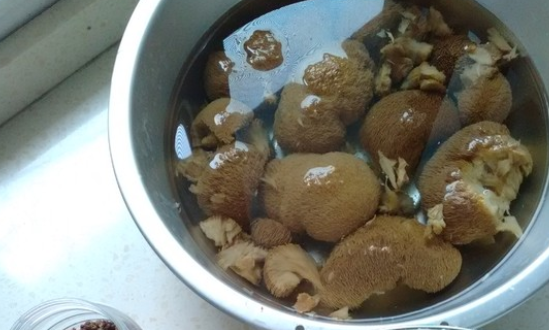 老鹅汤的做法，如何做，怎么做