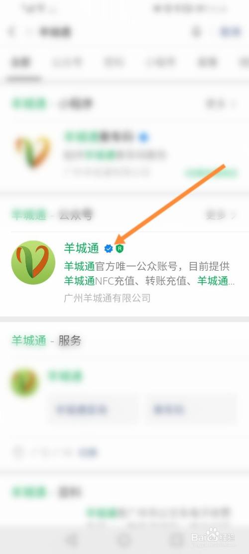 如何查羊城通的详细消费记录