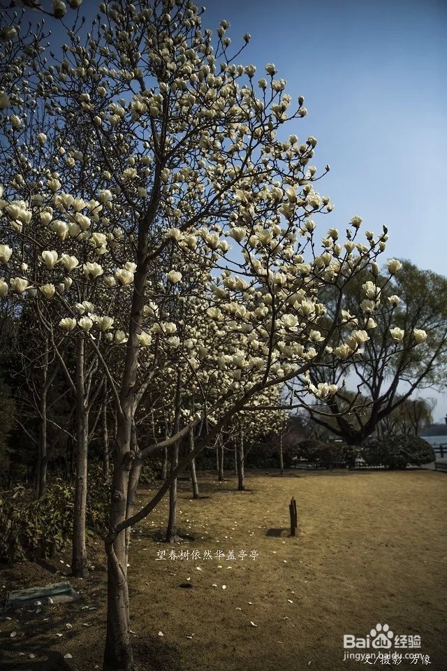 单反相机怎么用鱼眼镜头拍好照片